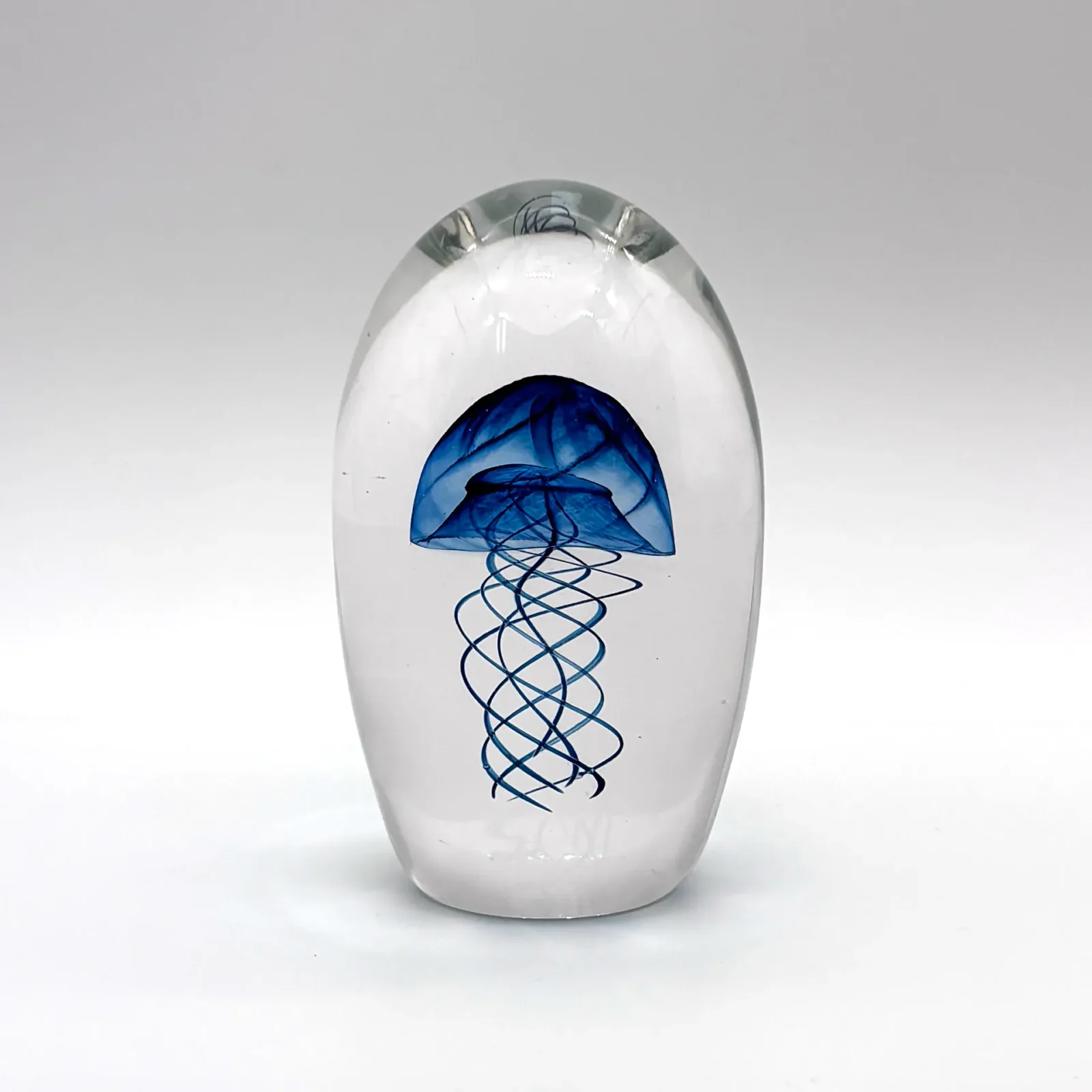 Jellyfish