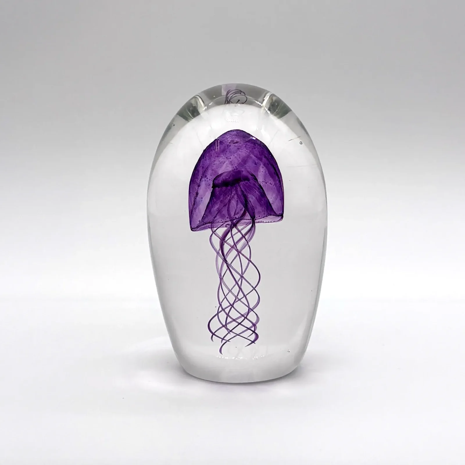 Jellyfish
