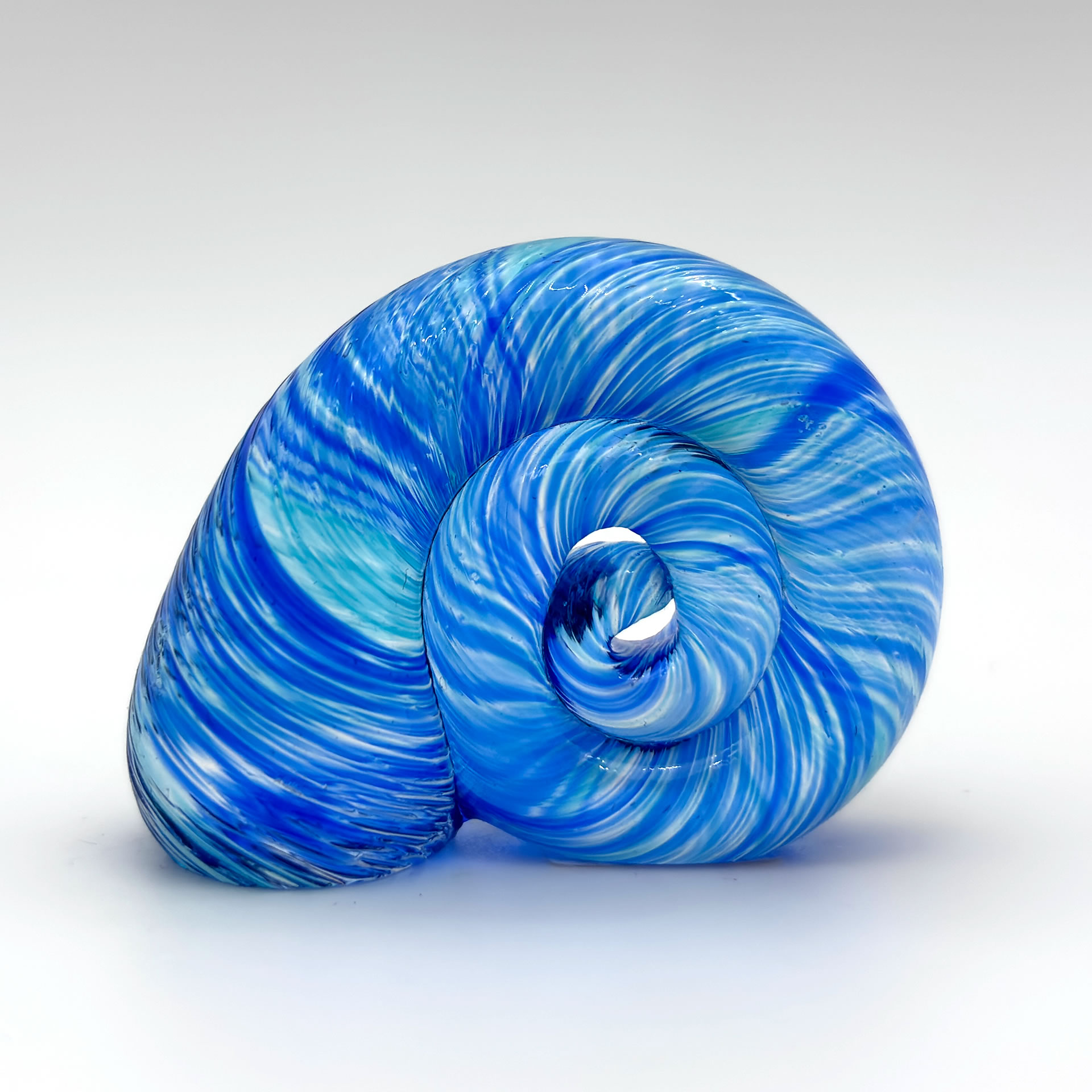 Snail Shell - Image 1