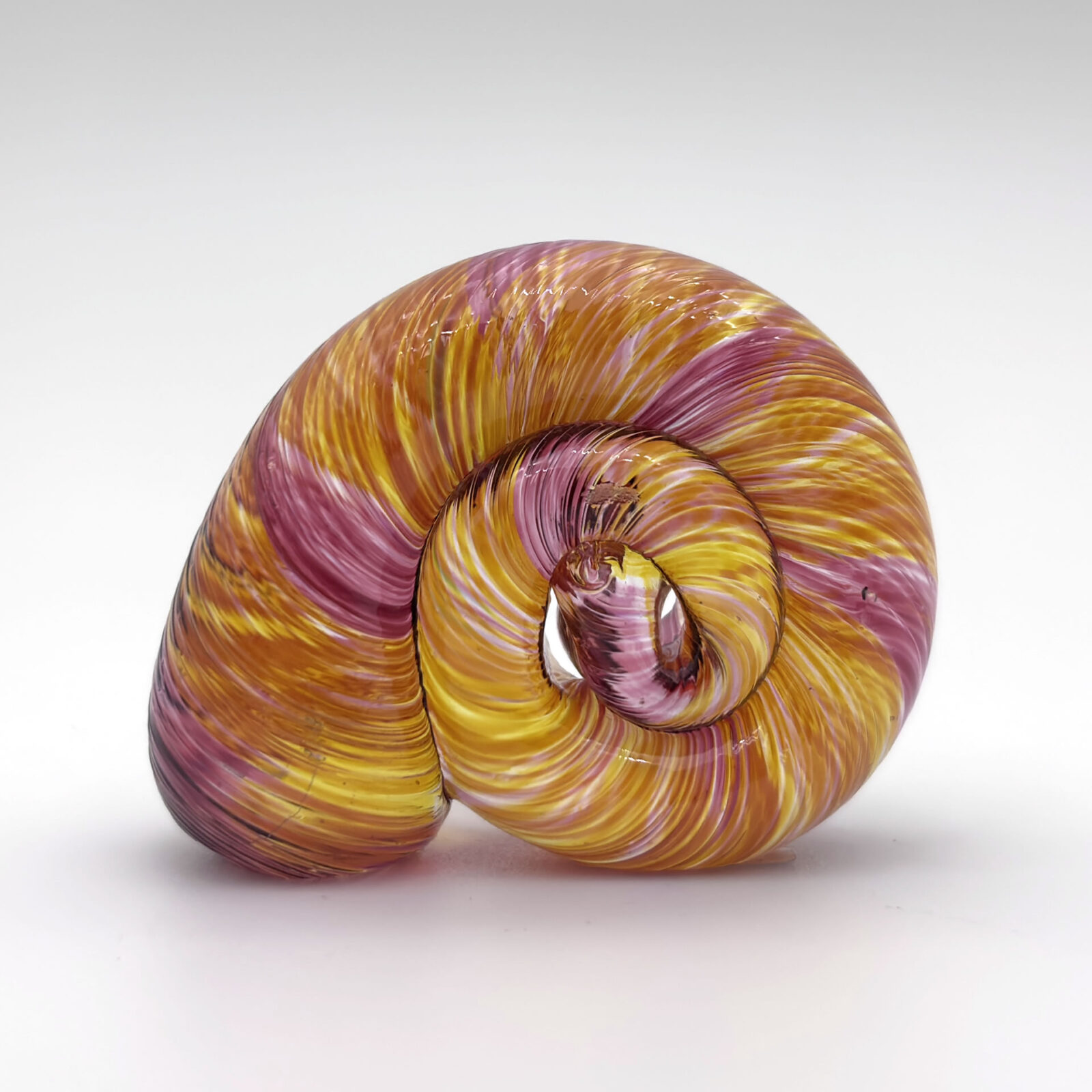 Snail Shell
