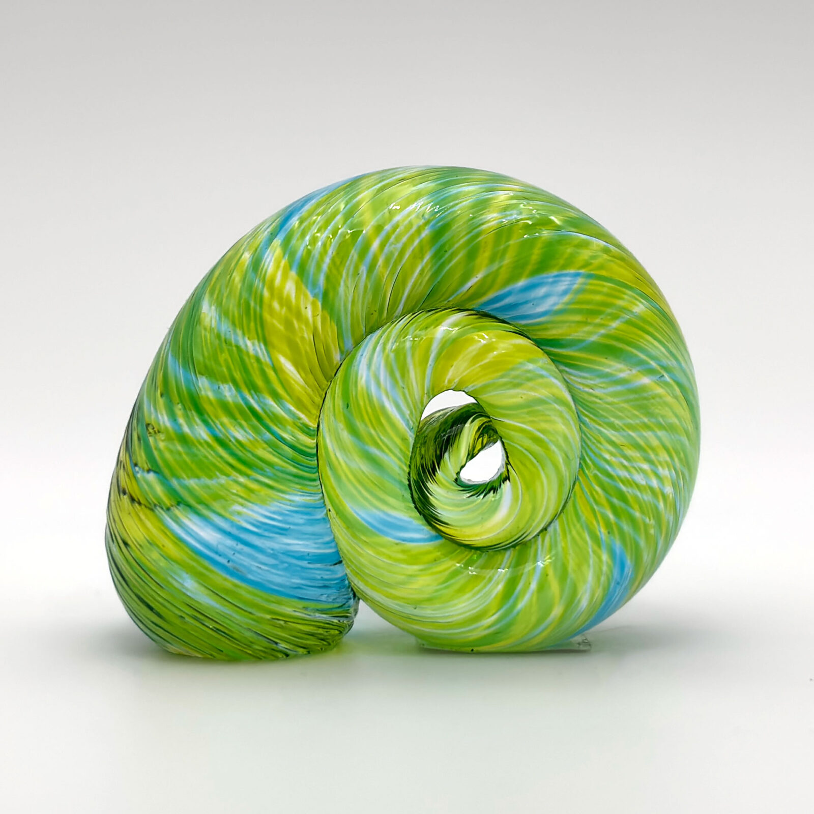 Snail Shell