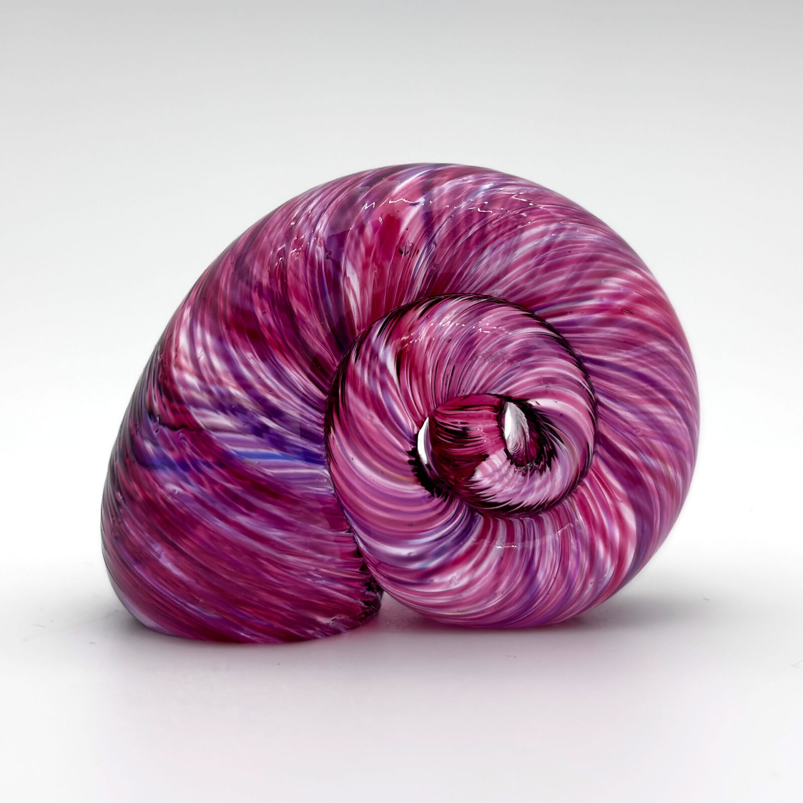 Snail Shell
