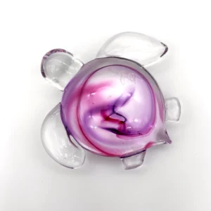 Sea Turtle - Image 4